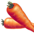 Carrot Seed